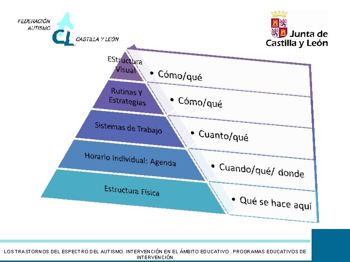 LOS TRASTORNOS DEL ESPECTRO DEL AUTISMO: INTERVENCIÓN EN EL ÁMBITO EDUCATIVO. PROGRAMAS EDUCATIVOS DE