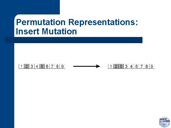 Permutation Representations: Insert Mutation 