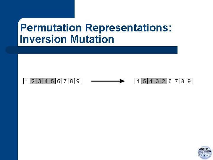 Permutation Representations: Inversion Mutation 