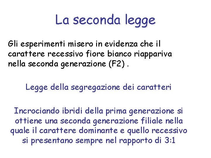 La seconda legge Gli esperimenti misero in evidenza che il carattere recessivo fiore bianco