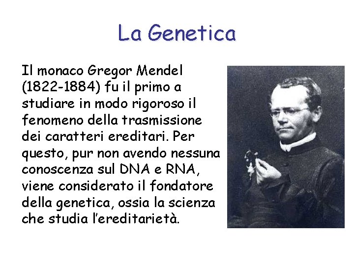 La Genetica Il monaco Gregor Mendel (1822 -1884) fu il primo a studiare in