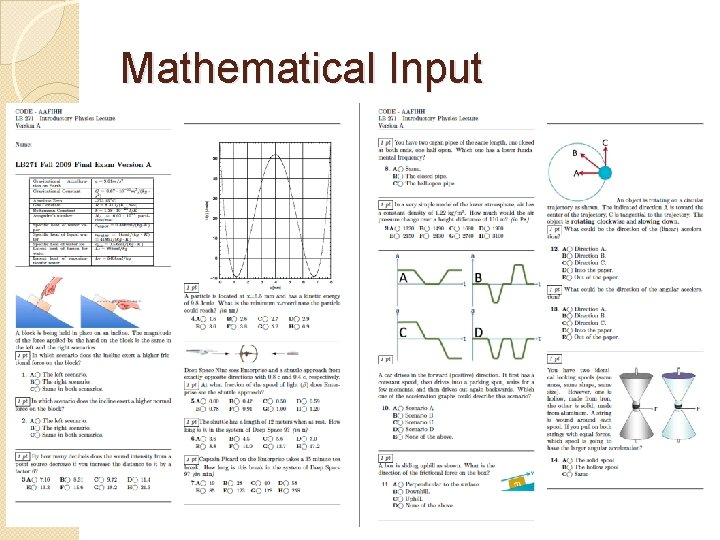 Mathematical Input 