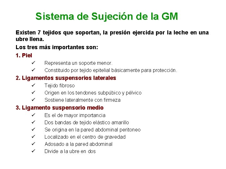 Sistema de Sujeción de la GM Existen 7 tejidos que soportan, la presión ejercida