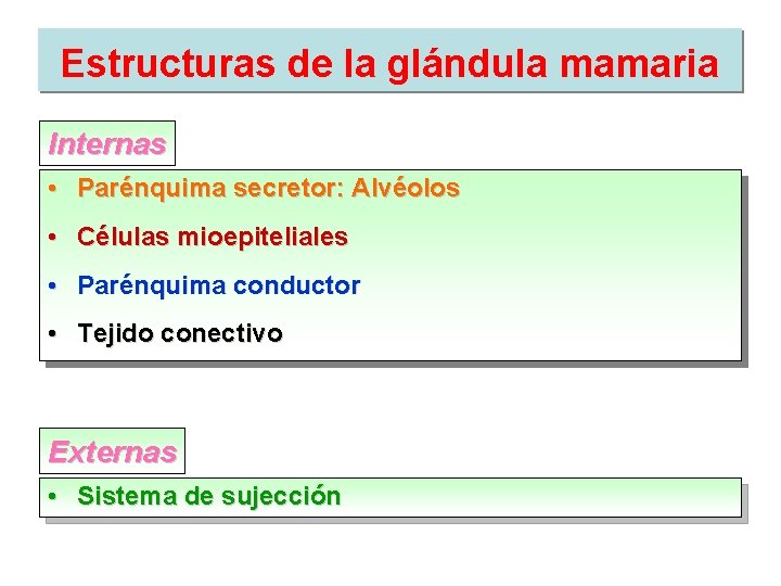 Estructuras de la glándula mamaria Internas • Parénquima secretor: Alvéolos • Células mioepiteliales •