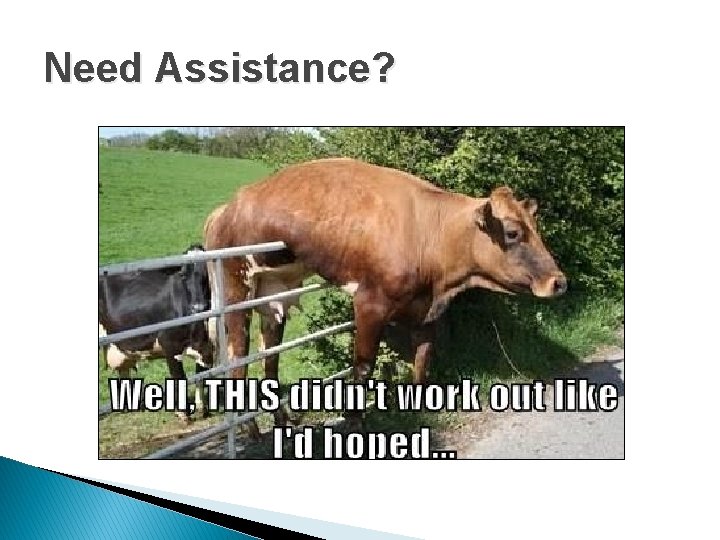 Need Assistance? 