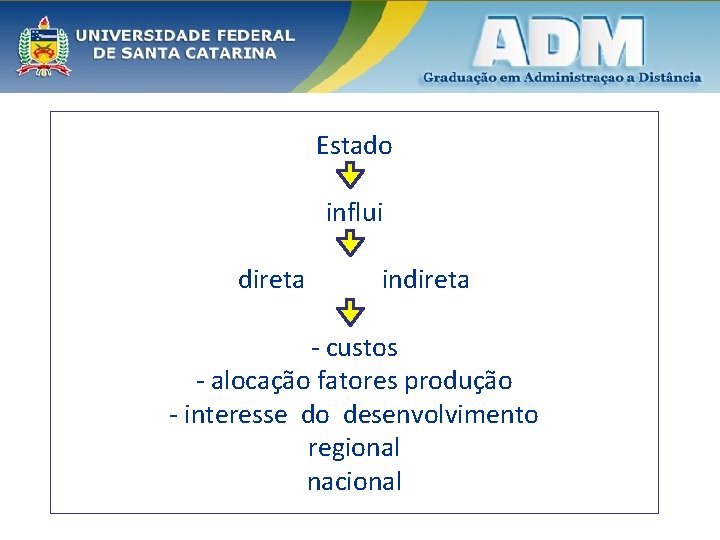 Estado influi direta indireta - custos - alocação fatores produção - interesse do desenvolvimento