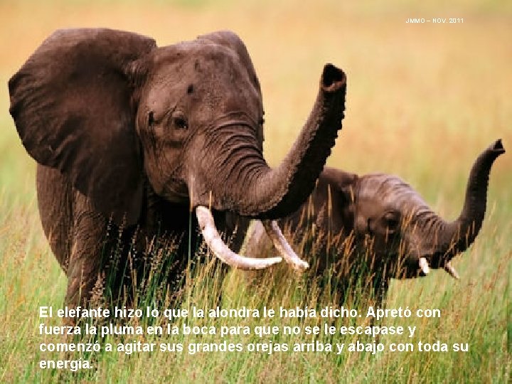 JMMO – NOV. 2011 El elefante hizo lo que la alondra le había dicho.