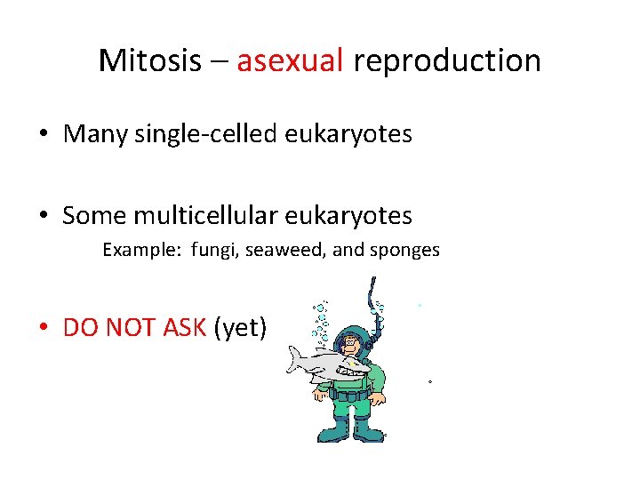 Mitosis – asexual reproduction • Many single-celled eukaryotes • Some multicellular eukaryotes Example: fungi,