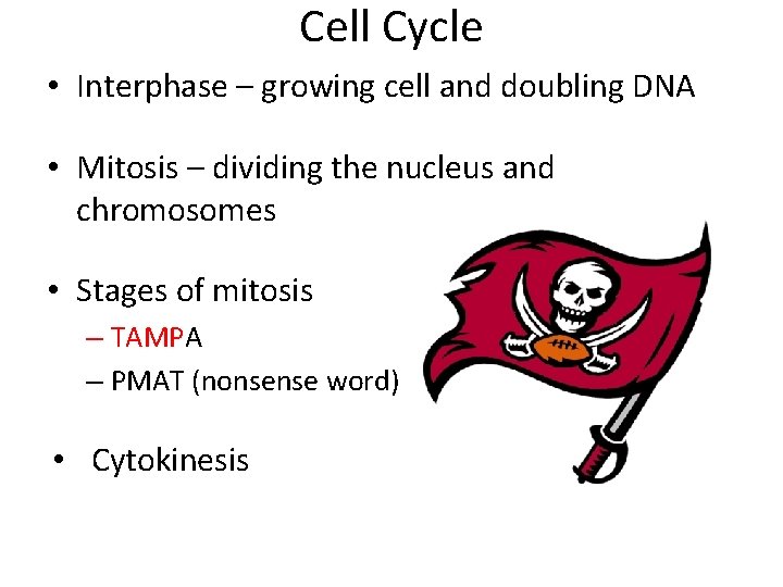 Cell Cycle • Interphase – growing cell and doubling DNA • Mitosis – dividing