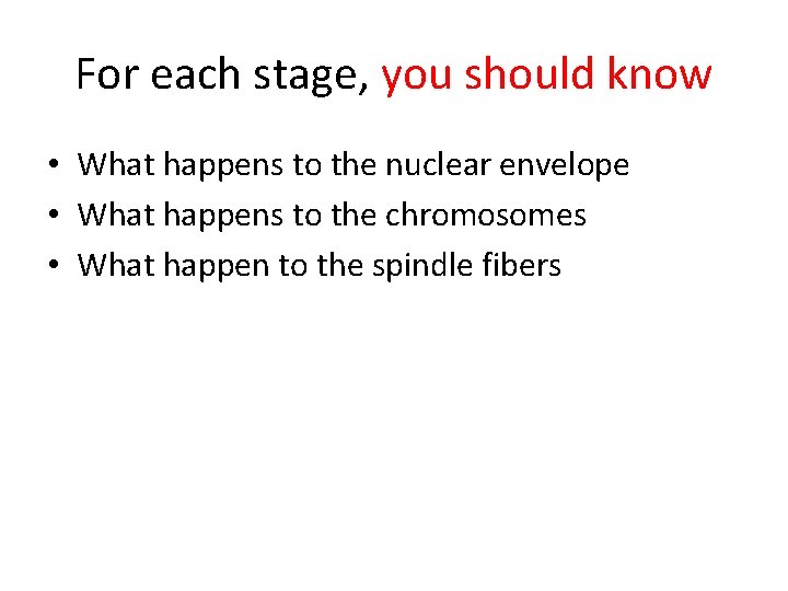 For each stage, you should know • What happens to the nuclear envelope •