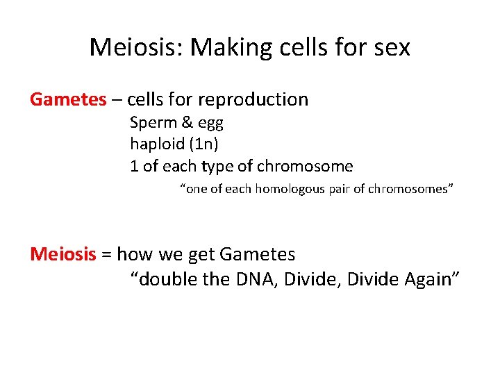 Meiosis: Making cells for sex Gametes – cells for reproduction Sperm & egg haploid