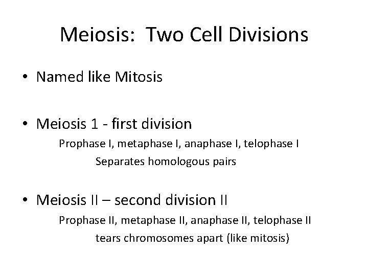 Meiosis: Two Cell Divisions • Named like Mitosis • Meiosis 1 - first division