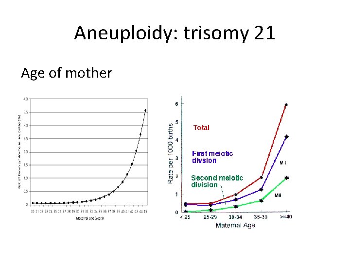 Aneuploidy: trisomy 21 Age of mother 