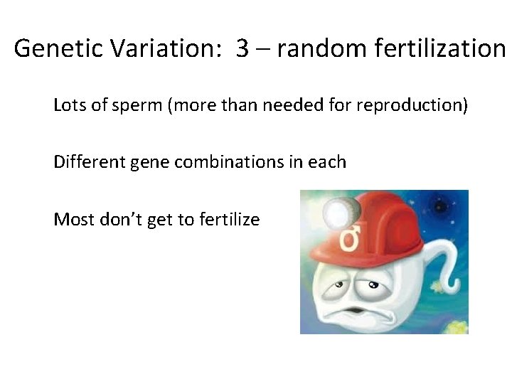 Genetic Variation: 3 – random fertilization Lots of sperm (more than needed for reproduction)