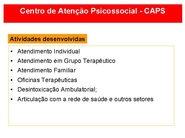 Centro de Atenção Psicossocial - CAPS Atividades desenvolvidas • Atendimento Individual • Atendimento em