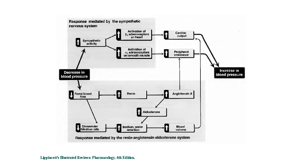 Lippincott's Illustrated Reviews: Pharmacology, 4 th Edition. Lippincott's Illustrated Reviews: Pharmacology, 4 th Edition.