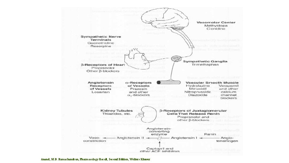 Anand, M. D. Ramachandran, Pharmacology Recall, Second Edition, Wolters Kluwer Anand, M. D. Ramachandran, Pharmacology Recall, Second Edition, Wolters Kluwer