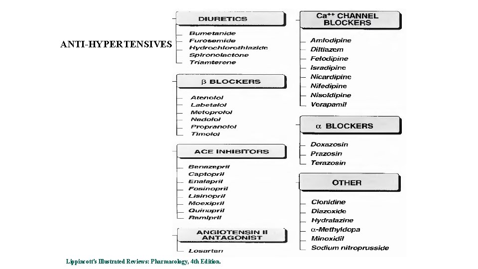 ANTI-HYPERTENSIVES Lippincott's Illustrated Reviews: Pharmacology, 4 th Edition. 