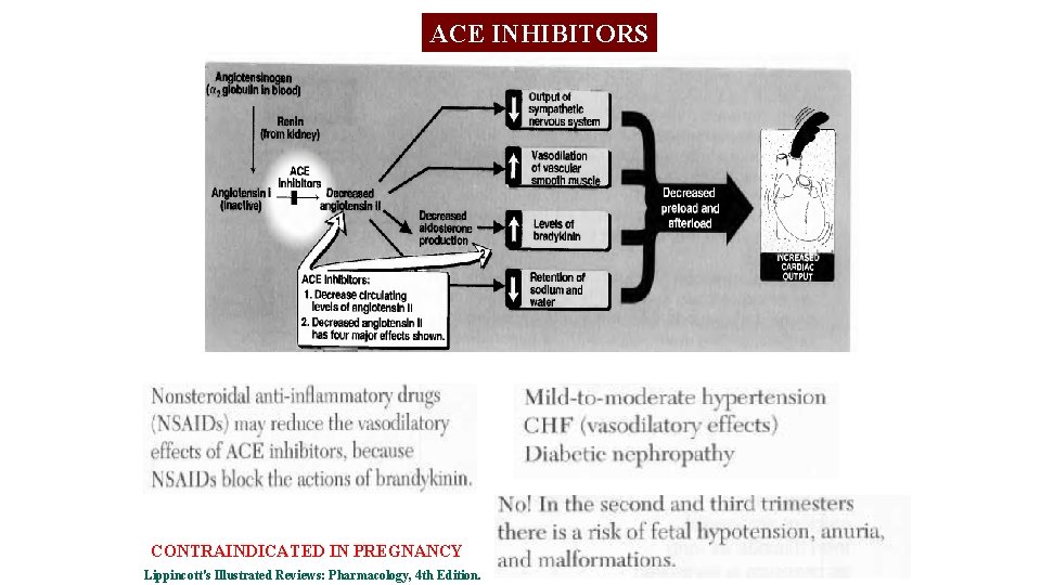 ACE INHIBITORS CONTRAINDICATED IN PREGNANCY Lippincott's Illustrated Reviews: Pharmacology, 4 th Edition. 