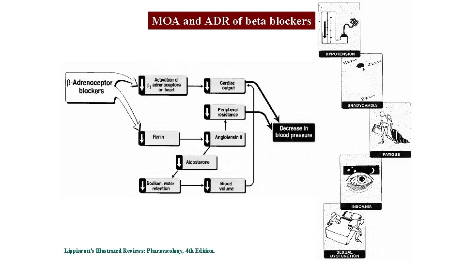 MOA and ADR of beta blockers Lippincott's Illustrated Reviews: Pharmacology, 4 th Edition. 