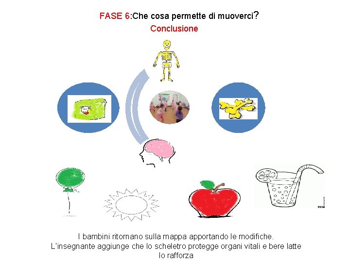 FASE 6: Che cosa permette di muoverci? Conclusione I bambini ritornano sulla mappa apportando