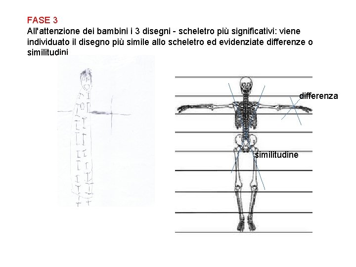 FASE 3 All'attenzione dei bambini i 3 disegni - scheletro più significativi: viene individuato