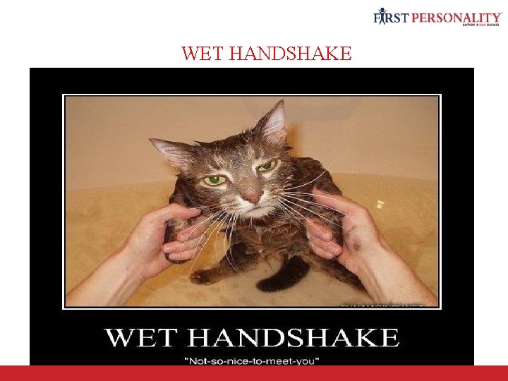 WET HANDSHAKE 