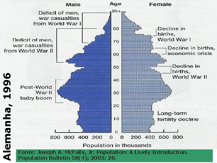 Alemanha, 1996 Fonte: Joseph A. Mc. Falls, Jr. Population: A Lively Introduction. Population Bulletin Alemanha, 1996 Fonte: Joseph A. Mc. Falls, Jr. Population: A Lively Introduction. Population Bulletin