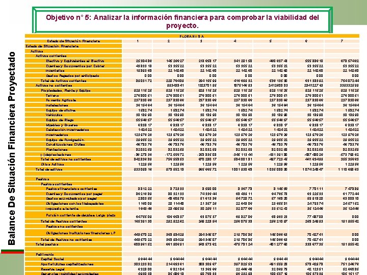 Balance De Situación Financiera Proyectado Objetivo n° 5: Analizar la información financiera para comprobar Balance De Situación Financiera Proyectado Objetivo n° 5: Analizar la información financiera para comprobar