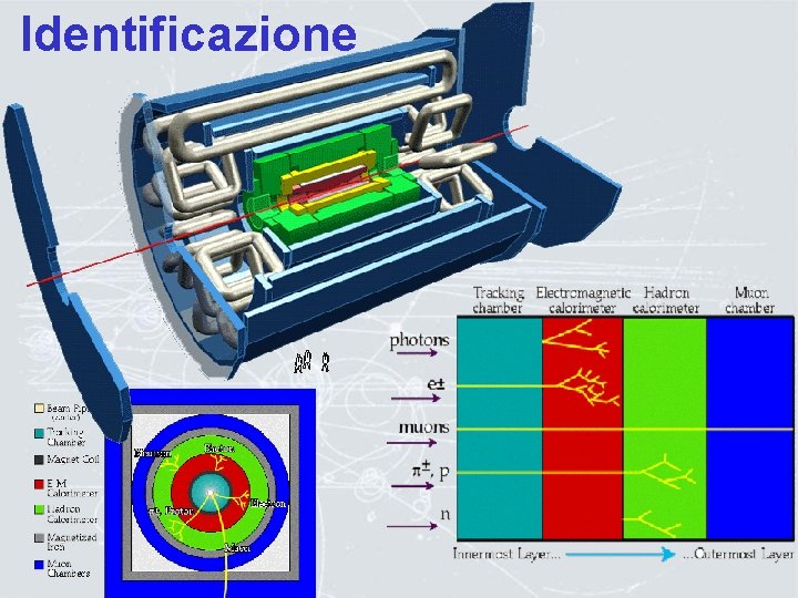 Identificazione 