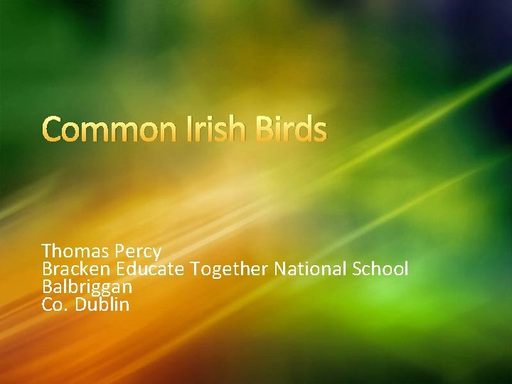 Common Irish Birds Thomas Percy Bracken Educate Together National School Balbriggan Co. Dublin 