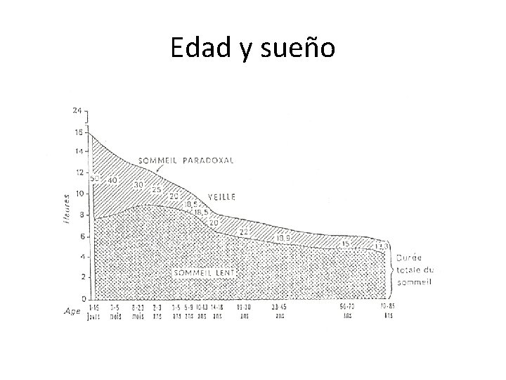 Edad y sueño 