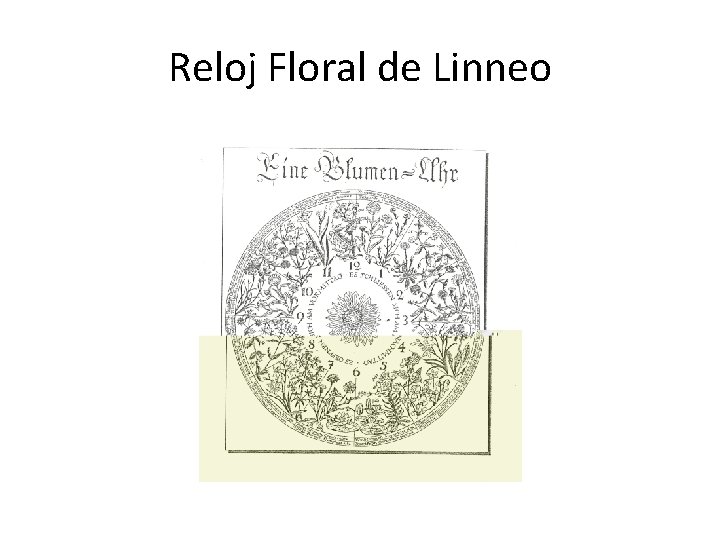 Reloj Floral de Linneo 