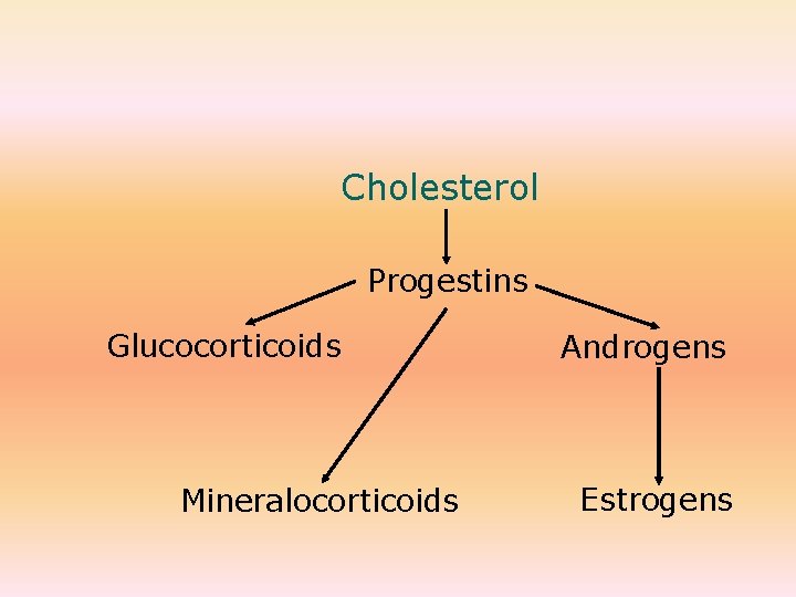 Cholesterol Progestins Glucocorticoids Mineralocorticoids Androgens Estrogens 