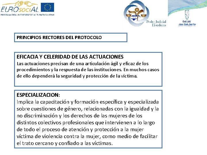 PRINCIPIOS RECTORES DEL PROTOCOLO EFICACIA Y CELERIDAD DE LAS ACTUACIONES Las actuaciones precisan de