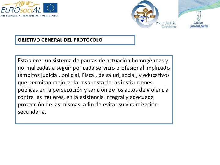 OBJETIVO GENERAL DEL PROTOCOLO Establecer un sistema de pautas de actuación homogéneas y normalizadas