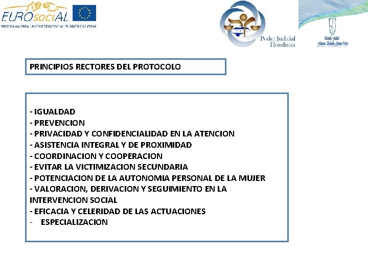 PRINCIPIOS RECTORES DEL PROTOCOLO - IGUALDAD - PREVENCION - PRIVACIDAD Y CONFIDENCIALIDAD EN LA