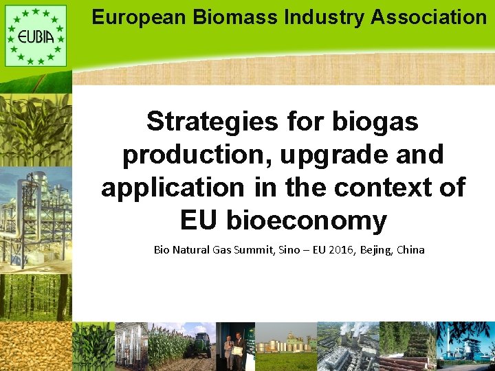 European Biomass Industry Association Strategies for biogas production, upgrade and application in the context