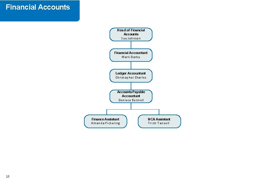 Financial Accounts Head of Financial Accounts Sue Johnson Financial Accountant Mark Darby Ledger Accountant