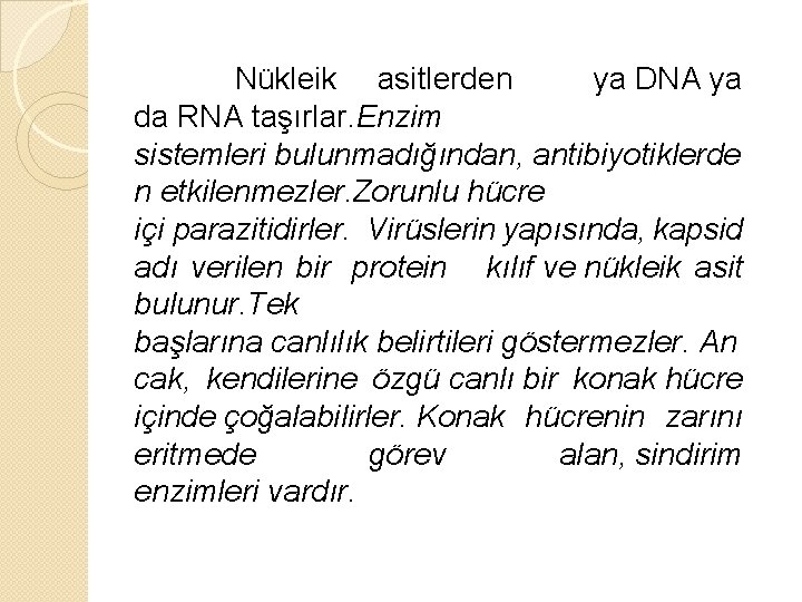  Nükleik asitlerden ya DNA ya da RNA taşırlar. Enzim sistemleri bulunmadığından, antibiyotiklerde n