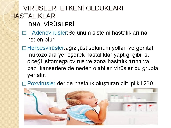  VİRÜSLER ETKENİ OLDUKLARI HASTALIKLAR DNA VİRÜSLERİ � Adenovirüsler: Solunum sistemi hastalıkları na neden