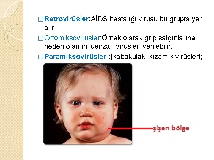 � Retrovirüsler: AİDS hastalığı virüsü bu grupta yer alır. � Ortomiksovirüsler: Örnek olarak grip