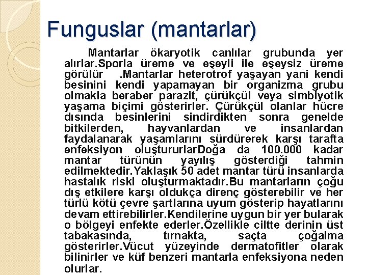 Funguslar (mantarlar) Mantarlar ökaryotik canlılar grubunda yer alırlar. Sporla üreme ve eşeyli ile eşeysiz