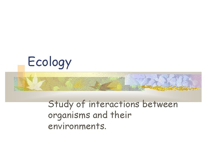 Ecology Study of interactions between organisms and their environments. 