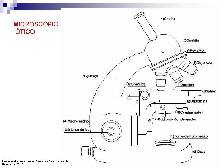 MICROSCÓPIO ÓTICO Fonte: Sant’Anna; Cerqueira, Apostila de Aulas Pr áticas de Bacteriologia 2007 