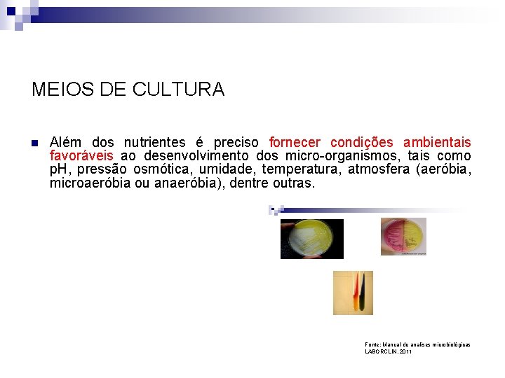 MEIOS DE CULTURA n Além dos nutrientes é preciso fornecer condições ambientais favoráveis ao
