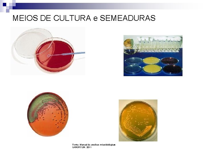 MEIOS DE CULTURA e SEMEADURAS Fonte: Manual de analises microbiológicas LABORCLIN, 2011 