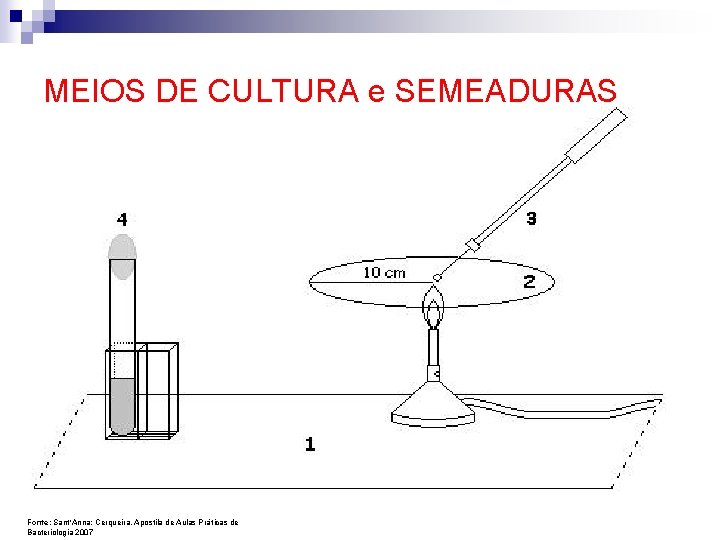 MEIOS DE CULTURA e SEMEADURAS Fonte: Sant’Anna; Cerqueira, Apostila de Aulas Pr áticas de