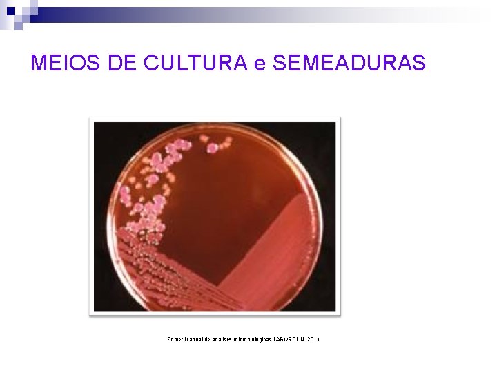 MEIOS DE CULTURA e SEMEADURAS Fonte: Manual de analises microbiológicas LABORCLIN, 2011 