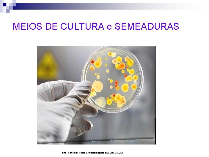 MEIOS DE CULTURA e SEMEADURAS Fonte: Manual de analises microbiológicas LABORCLIN, 2011 
